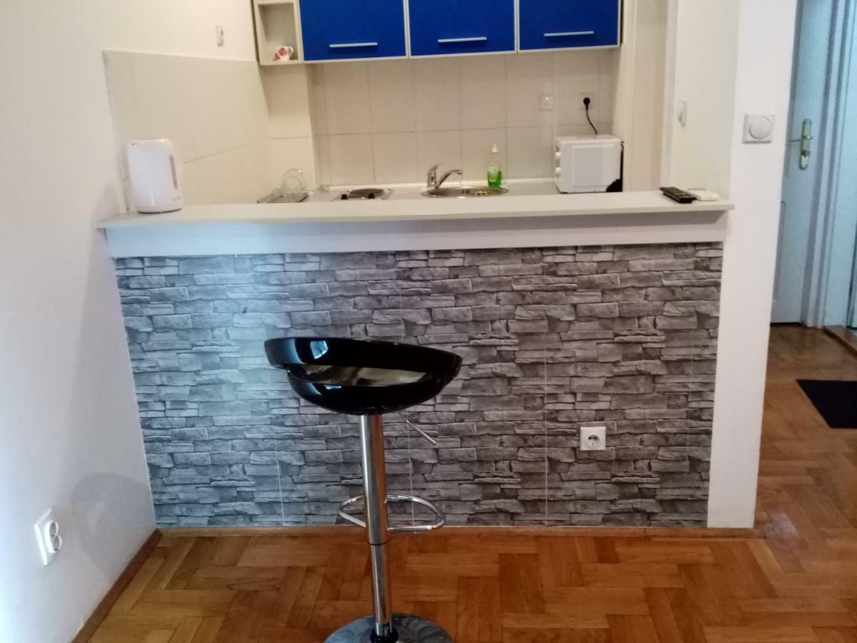 Apartment Aska เบลเกรด ภายนอก รูปภาพ